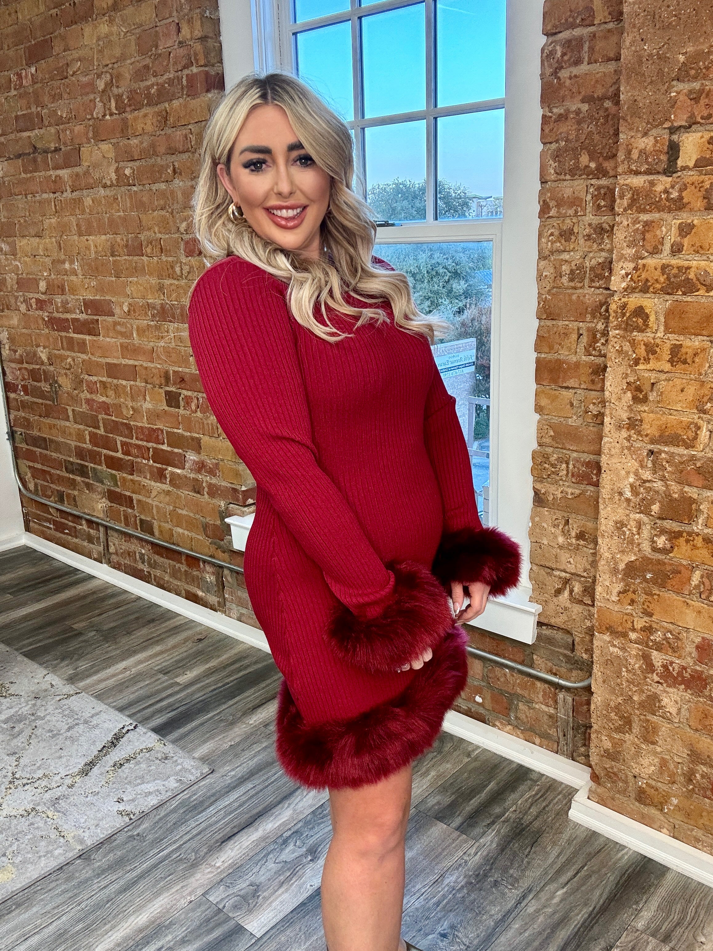 Francine Mini Dress Cranberry