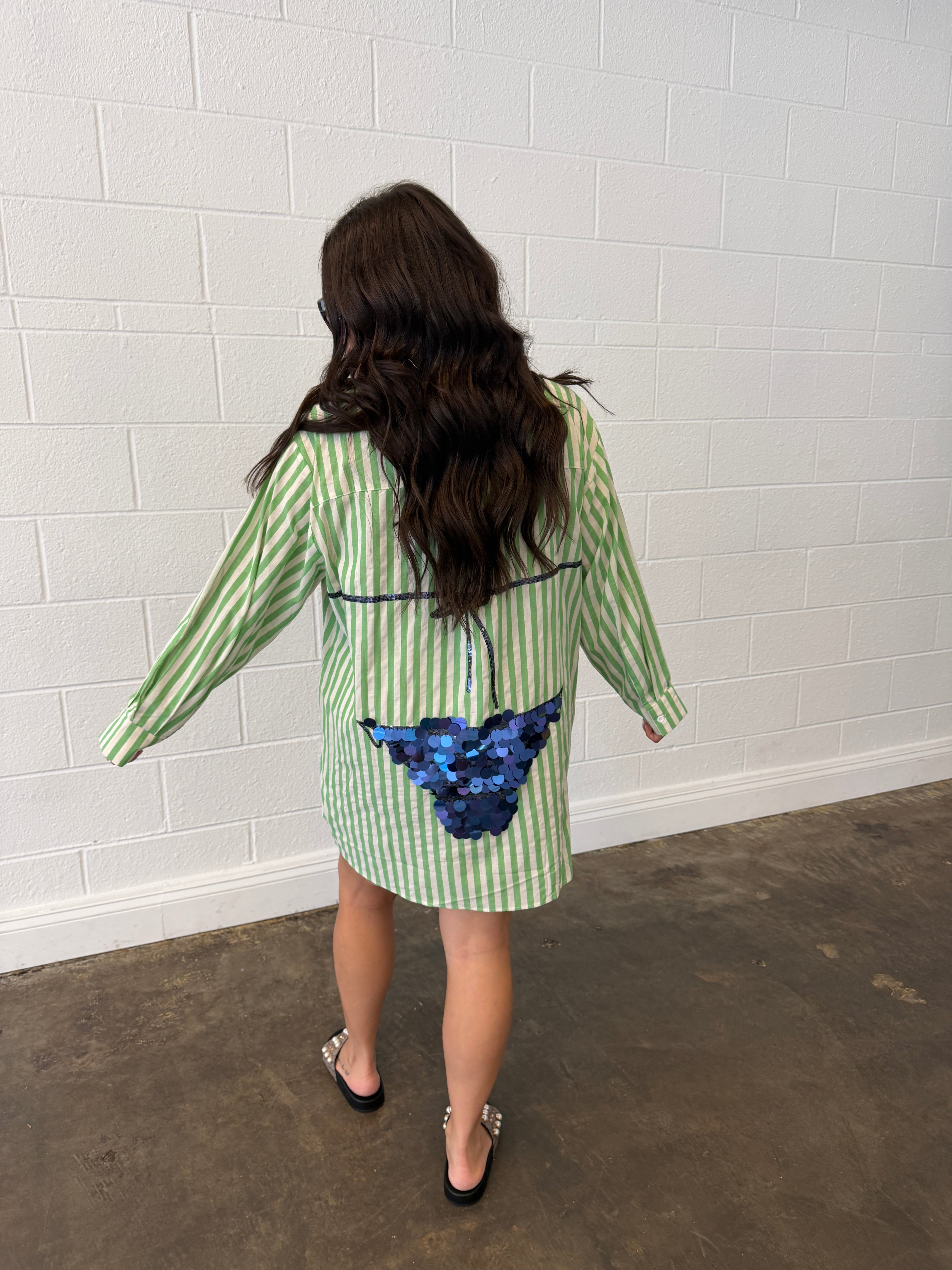 Green Striped Navy Paillette Bikini Tunic