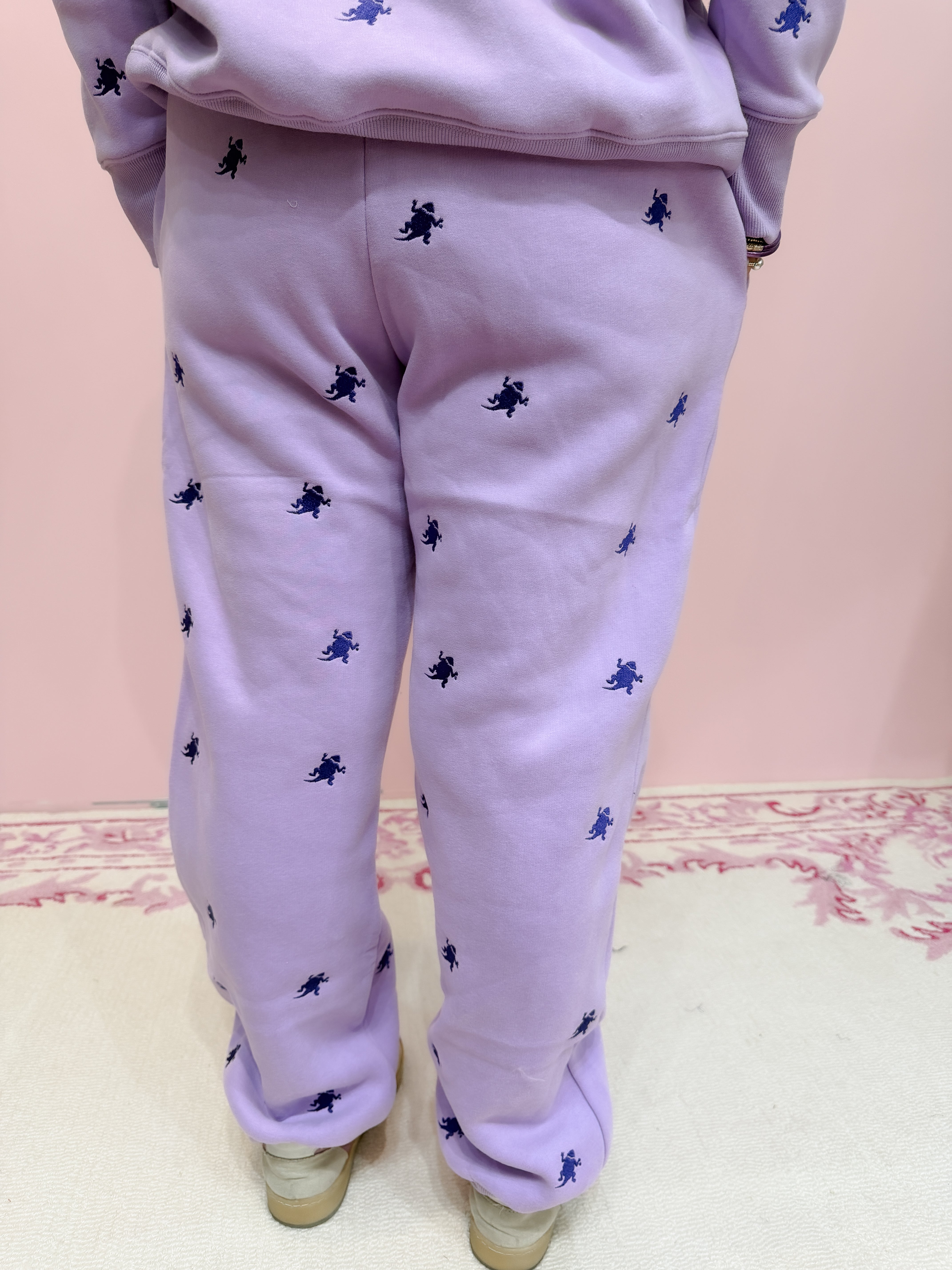 TCU embroidered fleece sweatpants