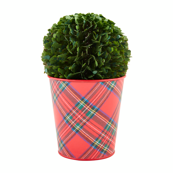 Large Boxwood Tartan Pot